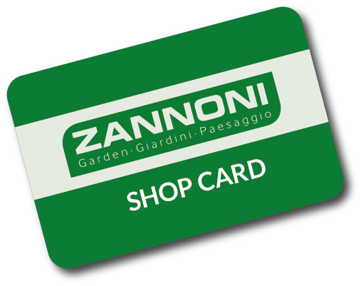 zannoni-shop-card