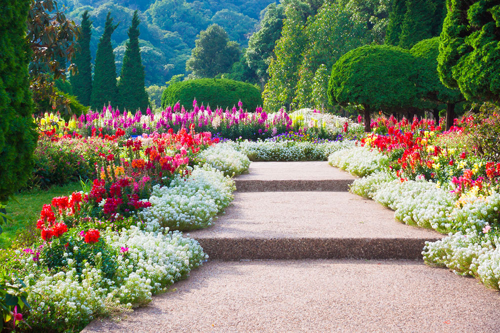 Vantaggi di possedere un giardino ben creato