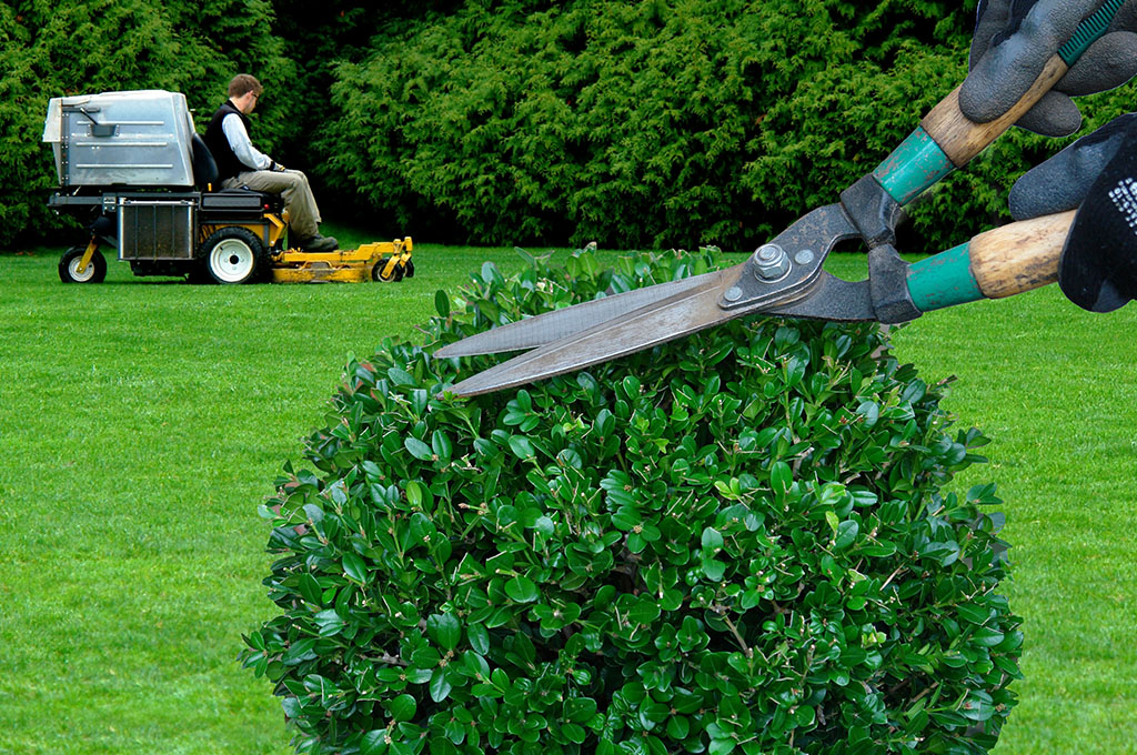 Manutenzione ordinaria del giardino quanto costa?