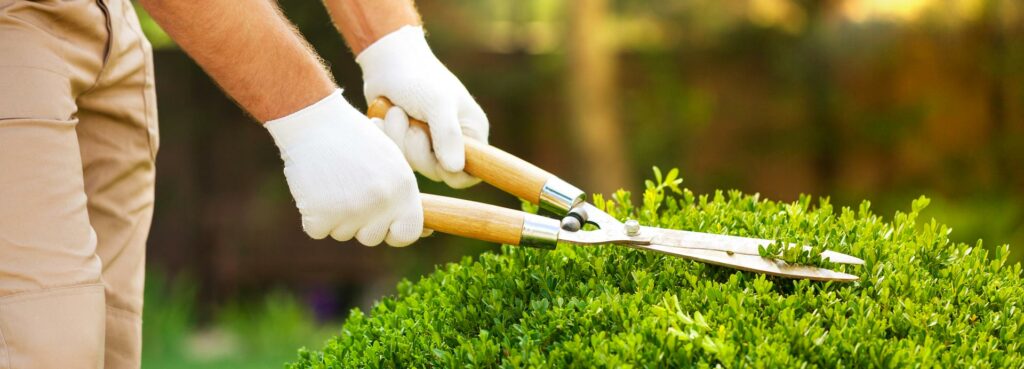 Chi può fare una manutenzione ordinaria del giardino