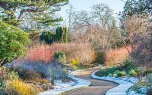 A chi affidarsi per la cura di un giardino in inverno