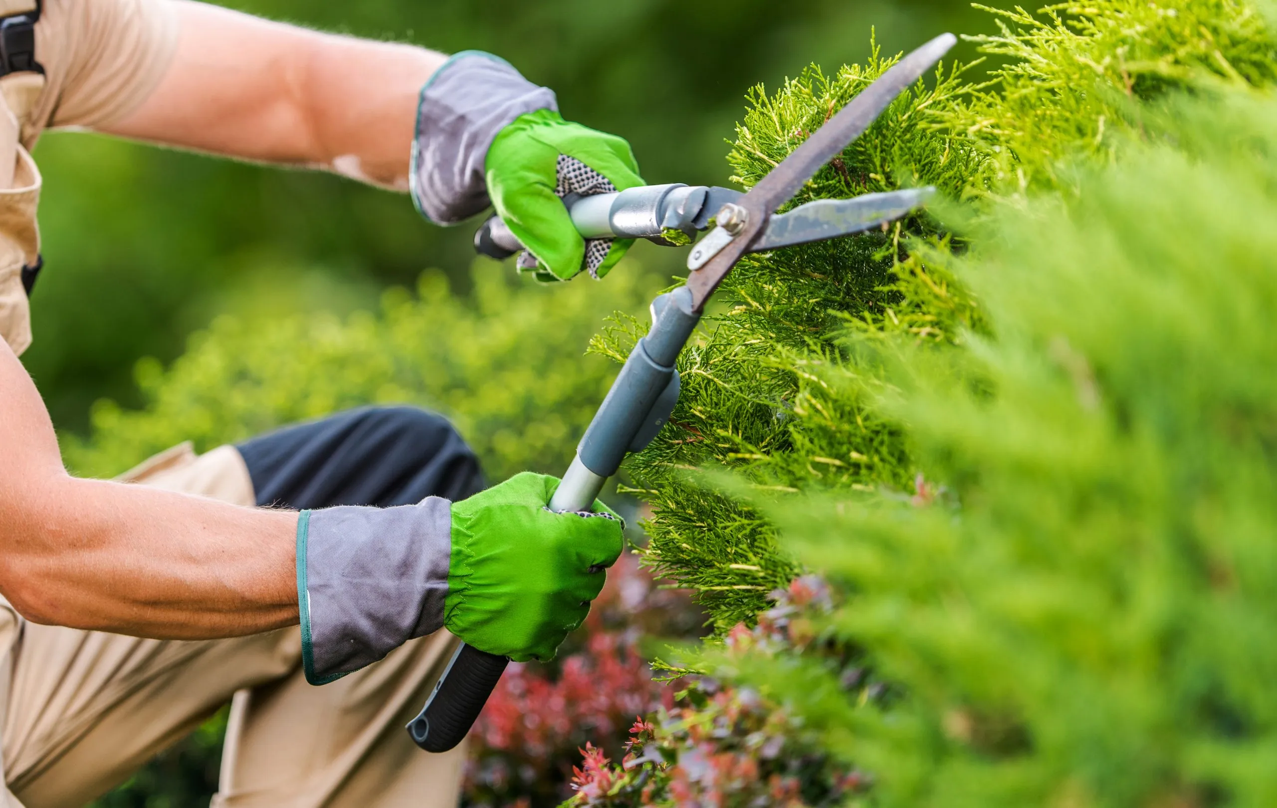 Manutenzione ordinaria del giardino a chi affidarsi